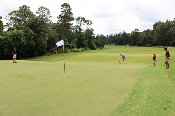 NBI_Golf-2-2