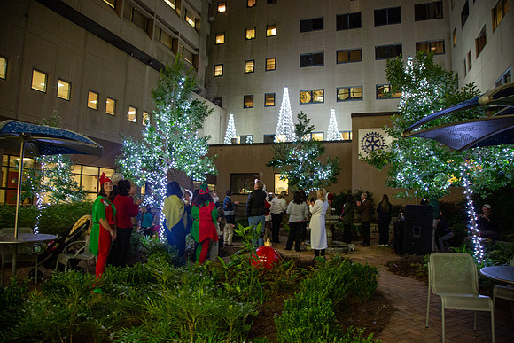 MI_Tree Lighting-36
