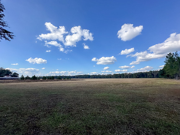 Pheasant Shoot 2025-01