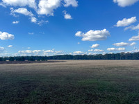 Pheasant Shoot 2025-02