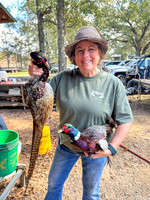 Pheasant Shoot 2025-13