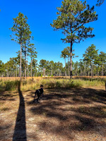 Pheasant Shoot 2025-17