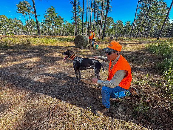 Pheasant Shoot 2025-34