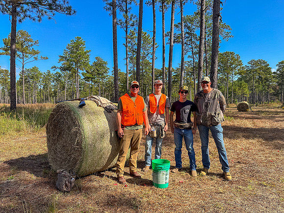 Pheasant Shoot 2025-43