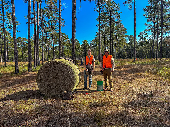 Pheasant Shoot 2025-44