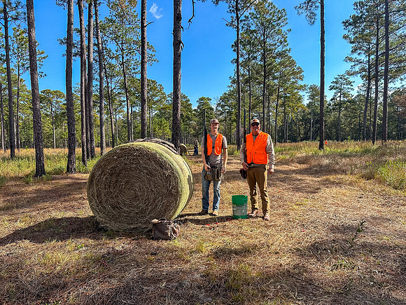 Pheasant Shoot 2025-45