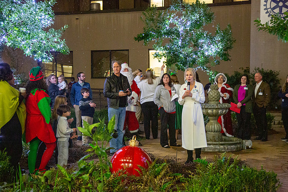 MI_Tree Lighting-33