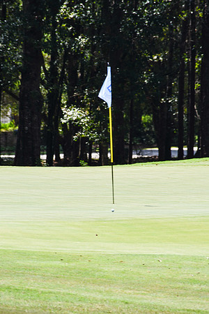 NBIGolf-389