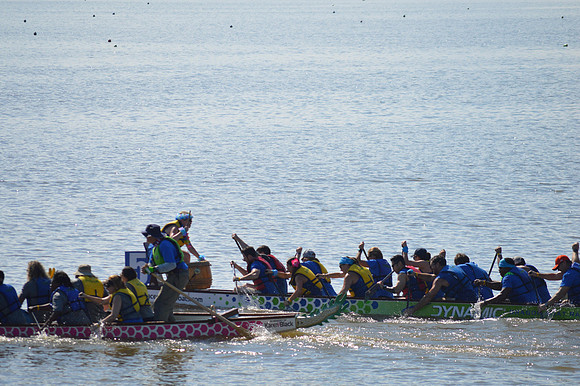 Dragon Boat 2017-88
