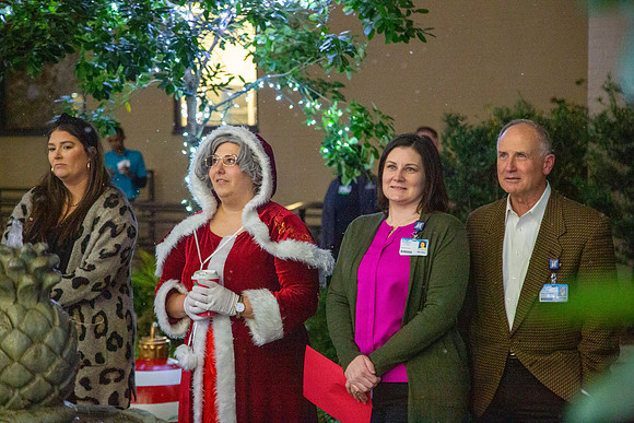 MI_Tree Lighting-27