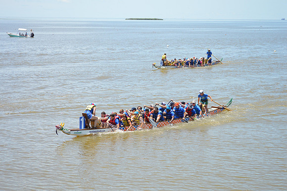 Dragon Boat 2017-290