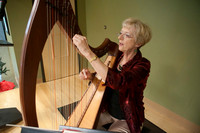 Auxiliary_19