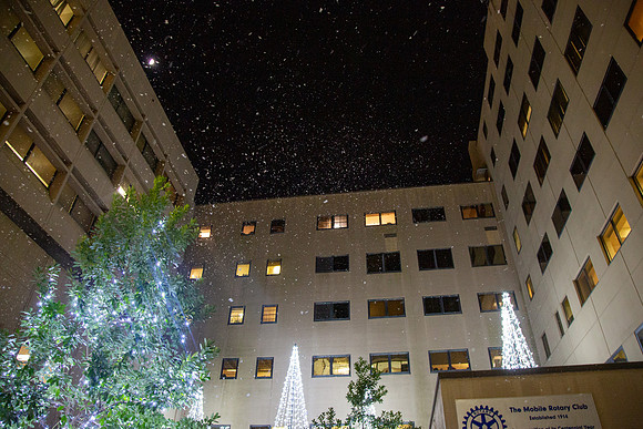 MI_Tree Lighting-42