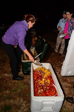 crawfish-9267