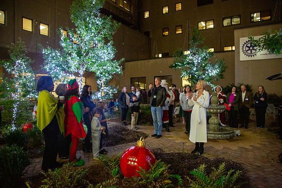 MI_Tree Lighting-32