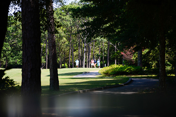 golf-0369