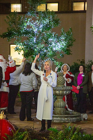 MI_Tree Lighting-34