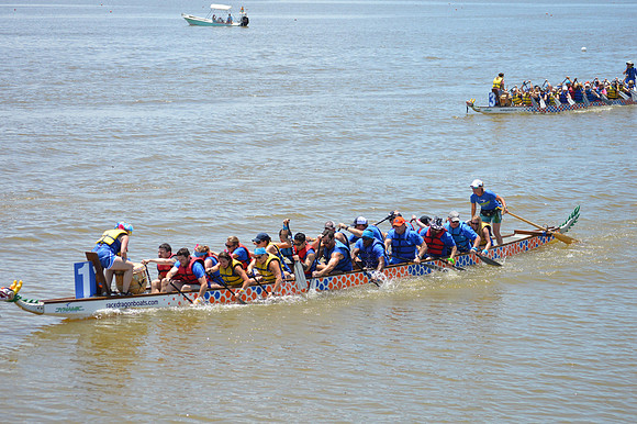 Dragon Boat 2017-292