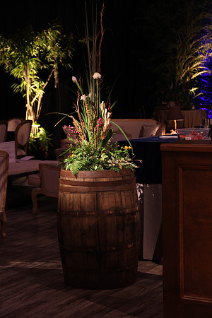 cb (29 of 380)