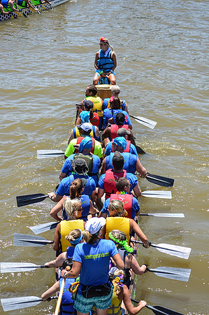 Dragon Boat 2017-420