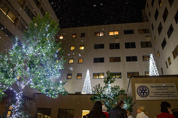 MI_Tree Lighting-43