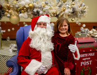MI Christmas Tree Lighting-3