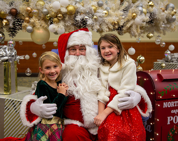 MI Christmas Tree Lighting-4