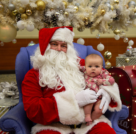 MI Christmas Tree Lighting-1