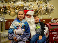 MI Christmas Tree Lighting-11