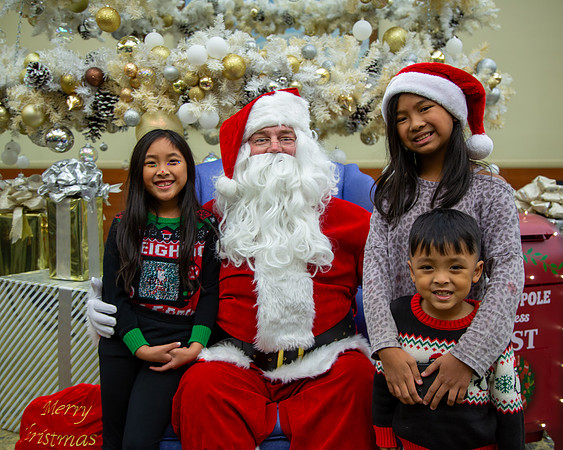 MI Christmas Tree Lighting-27