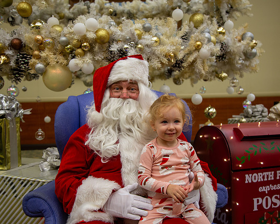 MI Christmas Tree Lighting-46