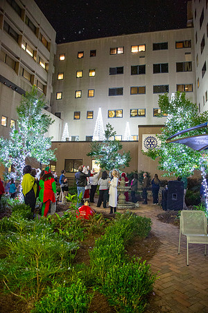 MI_Tree Lighting-35