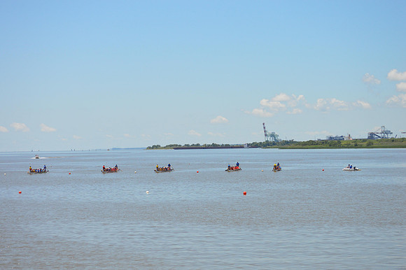 Dragon Boat 2017-277