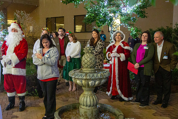 MI_Tree Lighting-29