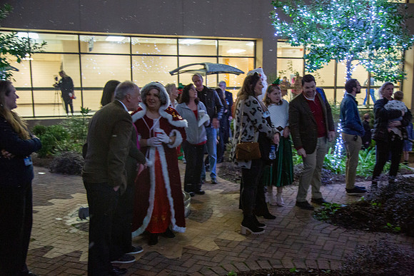 MI_Tree Lighting-39