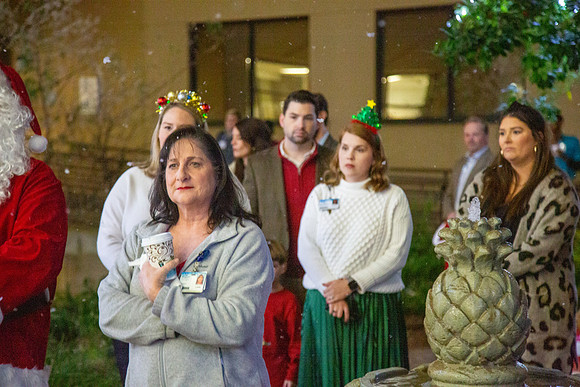 MI_Tree Lighting-26