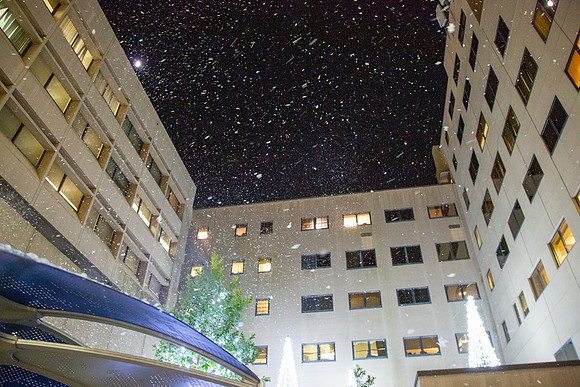 MI_Tree Lighting-41