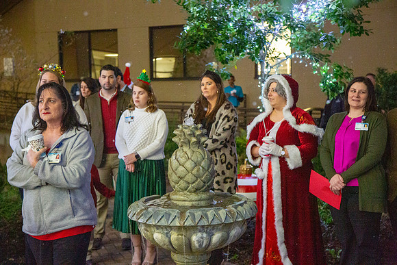 MI_Tree Lighting-28