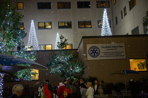 MI_Tree Lighting-40