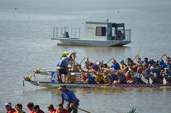 Dragon Boat 2017-85