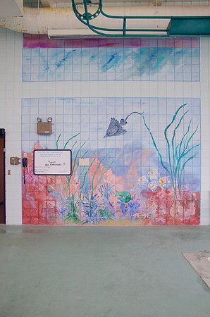 mural_MHD7753