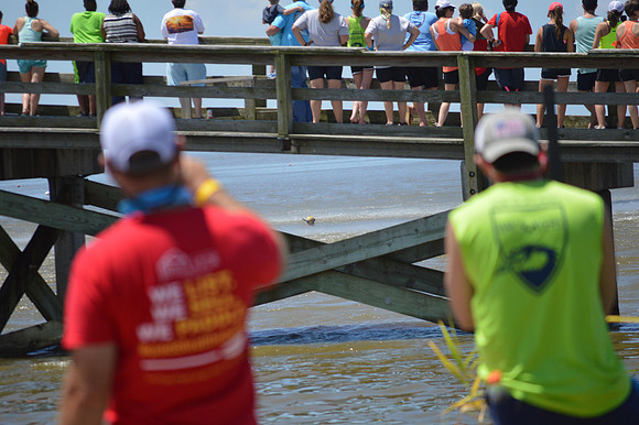 Dragon Boat 2017-241