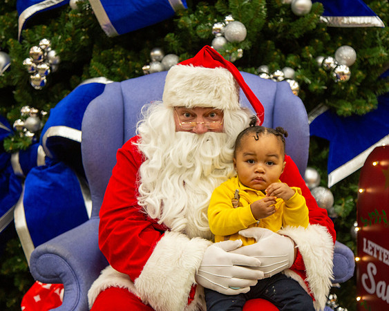 MI Christmas Tree Lighting_2024-29
