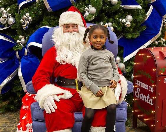 MI Christmas Tree Lighting_2024-23