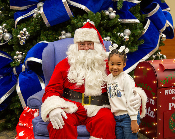 MI Christmas Tree Lighting_2024-17
