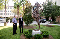 Seahorse_5
