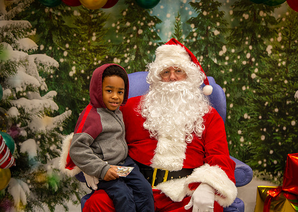 MI_Tree Lighting-54