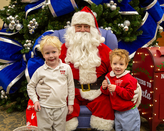 MI Christmas Tree Lighting_2024-38