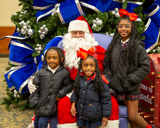 MI Christmas Tree Lighting_2024-16