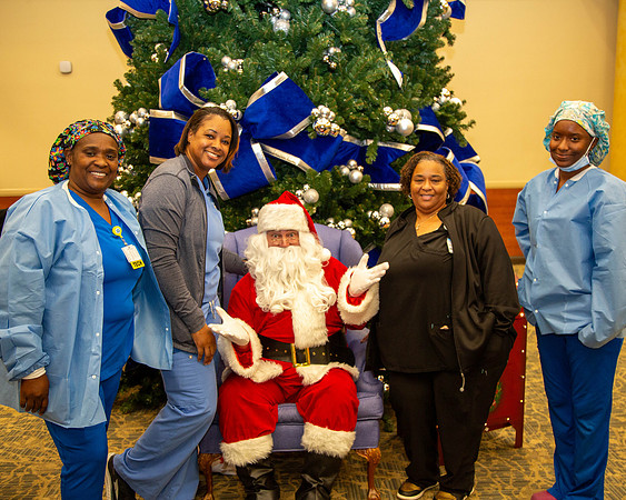 MI Christmas Tree Lighting_2024-20